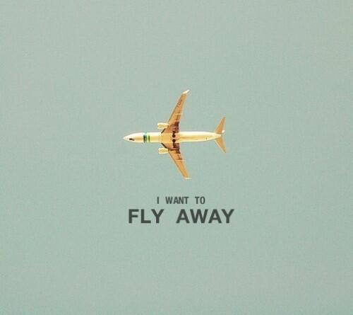 Viaggiare in aereo, fly away